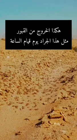 #اللهم_صلي_على_نبينا_محمد #سبحان_الله_وبحمده_سبحان_الله_العظيم #اتقو_يوم_ترجعون_فيه_إلى_الله #fyp #longervideos #viral 