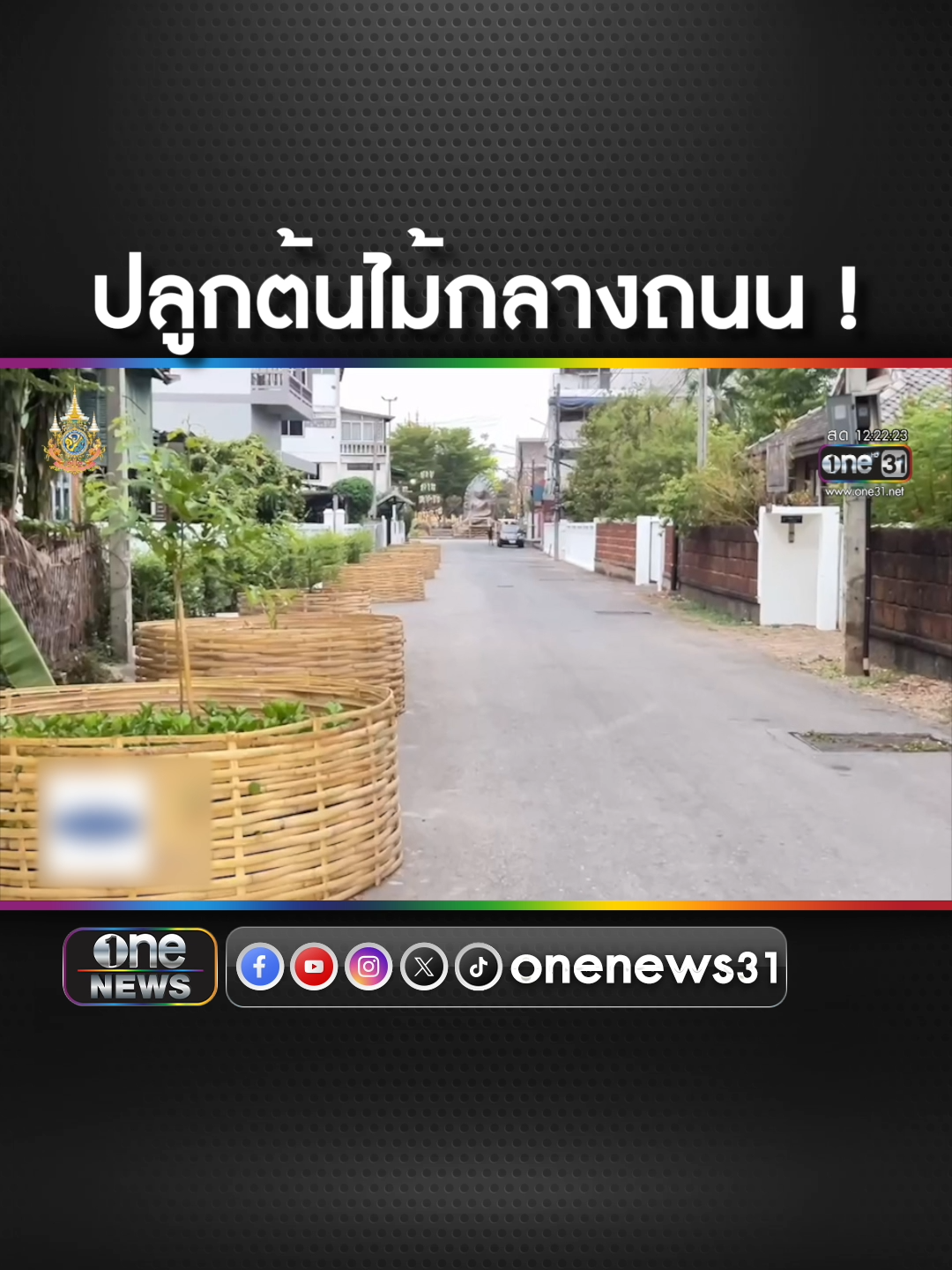 จวกยับ เทศบาลเมืองลำพูน ปลูกต้นไม้กลางถนน  #ข่าวช่องวัน #ข่าวtiktok #สํานักข่าววันนิวส์