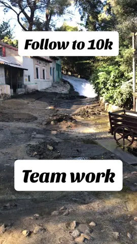 Team work make the dream work #followtrain #followtrains #followtrain2024