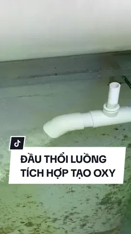 Chế đầu thổi luồng bể cá tích hợp thổi oxy #cacanh77 #oxygen #sủioxychocácảnh #sủioxyfree #sủioxyhồcá #diyfishtank #nuoica 