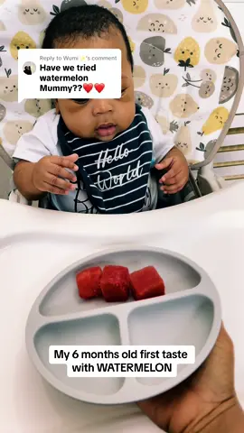 Replying to @Wumi✨ how did we do iyawo mi😍😍😍 #blw #blwideas #watermelon #blwrecipes #firsttastes #tiktokuk #babyfeeding #fyp #6monthsold 