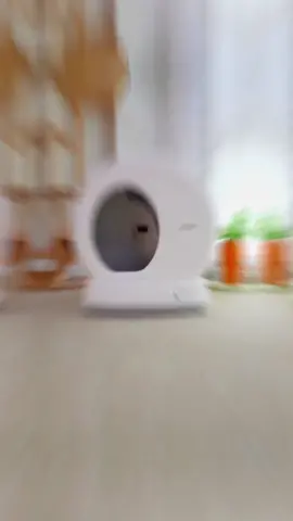 Nice #cat #fyp #meowant #automaticcatlitterbox 
