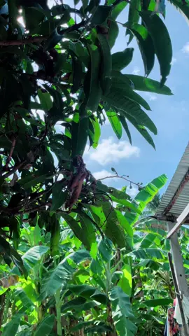 mặc kệ trời nắng 35độ không thể ngăn cản con đường ăn nhậu #xu  #xh #95haugiang 