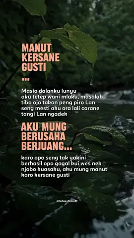 #CapCut manut kersane gusti... #storywa #storyjowo #fyp #storywakadungnemen88 