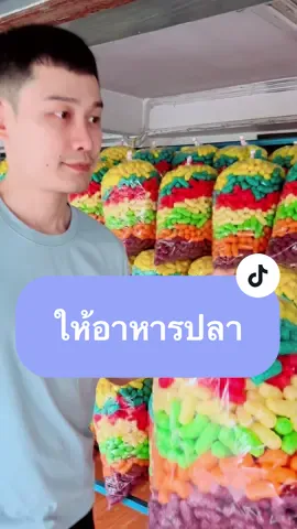 ทำทานให้อาหารปลากัน👏🏻👏🏻👏🏻