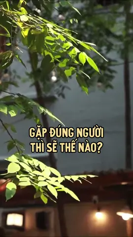 Bạn đã gặp đúng người chưa? #tinhyeu #carobooks #BookTok #chuyentinhyeu #reviewsach 