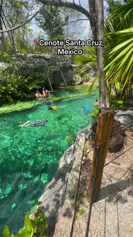 Journey to the breathtaking Cenote Santa Cruz with @pinkplankton🌞 Marvel at the sunbeams dancing on the water's surface and feel the significance of cenotes in Mayan culture 🌄🥰  Who would you go here with?  🎥 @pinkplankton #tulum #cenote #mexico #travelbucketlist