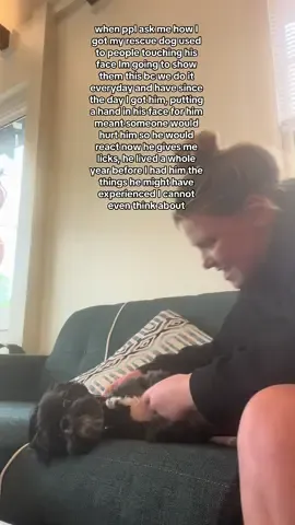 Little dogs should be trained too. #shihtzu #shihtzusoftiktok #shihtzupuppy #dogsoftiktok #dogsvideo 