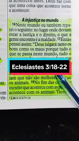 Eclesiastes 3:18-22 #biblia #Deus #versiculosblibicos #versiculododia #fycristao #palavradeDeus #lendoabiblia #cristão #cristoviveemmim #Eclesiastes 