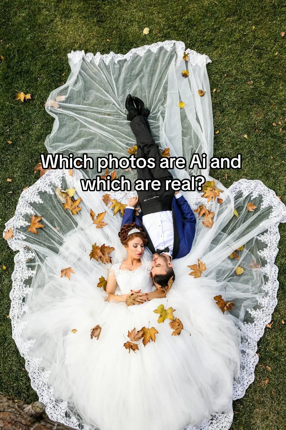 How many did you get right? #ai #chatgpt #realvsfake 