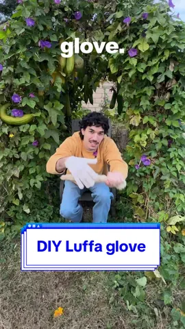 Why make her a luffa glove? #gardening #Sustainability #luffa 
