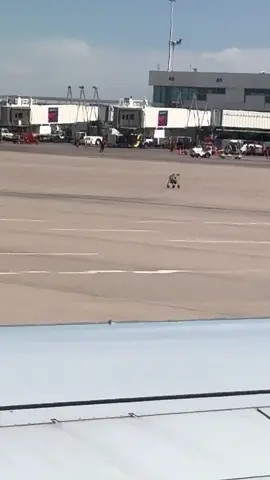 Um, walker cleared for takeoff? #fyp #foryou #denver #DEN #airport 