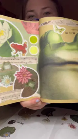 traveling frog band  #ktscanvases #journalwithme #journal #junkjournal #scrapbook #scrapbookjournal #journaling #creativejournal 