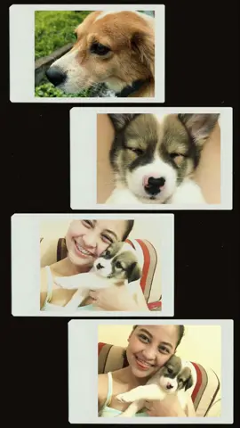 The most difficult thing about having a dog is the goodbye. I will miss you Oreo. I love you so muchhhh! 😭🤍🤍  Run free baby. 