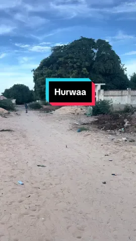 Aaway Ciyaal Hurwaa Meeshaan Yaa Xasuusto? #hurwaa #somalia #xamar 