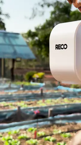 ติดกล้องวงจรปิดไร้สายที่เข้ากับสวนเล็กๆของพวกเรา 🩵 #RECO #RECOThailannd #กล้องวงจรปิดไร้สายRECO