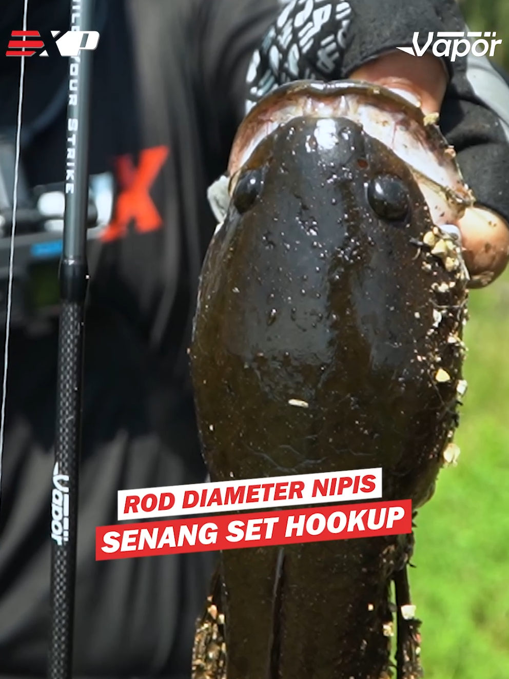 Rod TensionPro UL konsep terbaru senang sentap 💪 #expfishing #buildyourstrike #expproductreview #expvapor #fishingrod #ultralight #ultralightrod #ultralightfishing #casting #spinning #mancing #snakehead #peacockbass #saltwater #freshwater