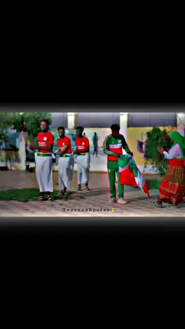 Hadafkayga Lama Zuulin Karo Zadarka Doodayda ! #somalitiktok #somaliland #somalia #somali #foryoupage #foryou #fyp #fy #koreanzlyricz #tiktok @everyone 