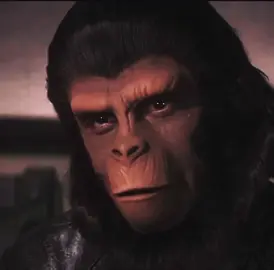 Top5 characters and Is this not the best trilogy in history #caesar #planetoftheapes #kingdomoftheplanetoftheapes 