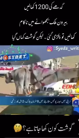 Donkeys meat vanished before Bakraa Eid #donkey #meat #eid
