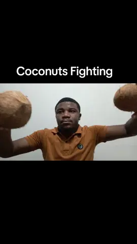 Coconuts Fighting