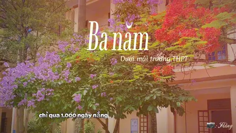 3 năm... #he2024 #chữalành #healing #chill #bìnhyên #hoabằnglăng #hoaphuong #cấp3 #thpt #podcast 