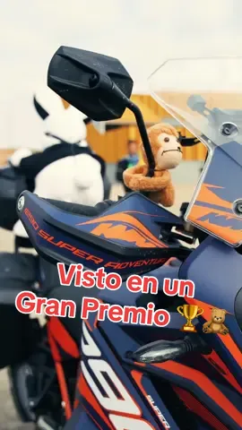 ¡Visto en un Gran Premio! 🏆  Nos habían dicho que los #moteros eran gente peligrosa, a los que no les gustaban las normas. Así que decidimos investigar en sus #motos a ver qué podíamos encontrar. Esto ha sido lo más sospechoso… 🧐 #motolife #motogp #peluche #plushtoy #BoxRepsol 