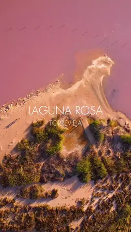 Laguna Rosa de Torrevieja, precioso lugar para conocer, su momento más rosado lo podéis ver en el mes de Agosto 🌅  #torrevieja #lagunarosa #salinas #salinasdetorrevieja #travel #traveler #beach #relax #Summer #verano #ruta #españa #viajar #viaje 