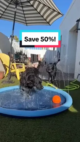 Keep your dog cool this summer with our Splash Sprinkler Pad! ⭐️ SAVE 50% Off Limited Time Only! @barkmyworldofficial 🌍 Worldwide Shipping #dogplaytime #dogfun #dogenrichment #dogs #funwithdogs 
