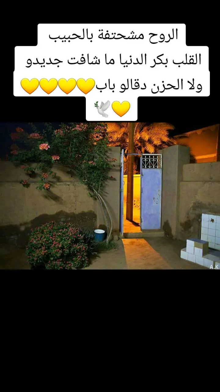 الروح مشحتفة بالحبيب  القلب بكر الدنيا ما شافت جديدو  ولا الحزن دقالو باب💛💛💛💛💛🕊 #I_am_Sudan #ملامح_سودانيه🇸🇩🦅 #انا_السودان✌🏿🇸🇩✌سوداني #الجزيرة_في_القلب❤️❤️❤️❤️❤️❤️❤️❤️❤️❤️❤️❤️  #sudan 