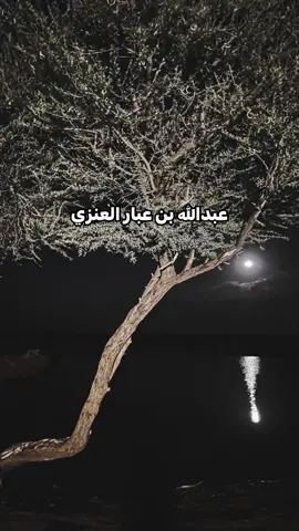 #شعر #عبدالله بن عبار العنزي #الواسطه #حركة_إكسبلور #السعوديه #capcutvelocity 