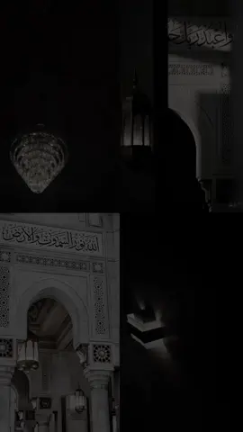 Sourate AN-NAML / LES FOURMIS |     Sourate 27 v:62❤️ #fypシ゚viral  #omarhishamalarabi  #quran_alkarim 