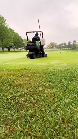 Great morning cutting grees#golfcoursemaintenance #greensmower 