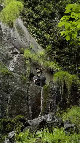 The sounds of the waterfall 💦 Recording the sound of the waterfall with a hydrophone was not an easy thing to do... I absolutely wanted to put it under the curtain of water to retranscribe the power of the flow.  After a few mishaps, I succeeded!  #aesthetic #nature #science #pourtoi #fyp 