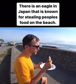#interesting #nature #crazyvideos #wtf #fyp 