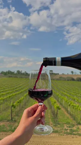 CANTINE APERTE 2024 🍷 25 e 26 Maggio Tutti i giorni troverai: Musica, degustazioni, visite guidate, stand gastronomici e piatti tipici abruzzesi.  #cantine #cantineaperte #vinoabruzzese #abruzzoturismo #abruzzofood #montepulcianodabruzzo #sommelier #degustazioni #degustazionevini 