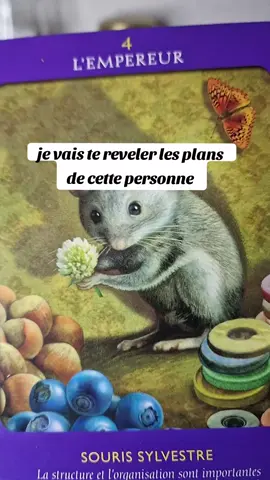 je vais te révéler les plans de cette personne #tiragedecarte #tiragedecartesgratuit #medium #tirages #cartomancienne #voyancesentimentale #voyancesentimentale 