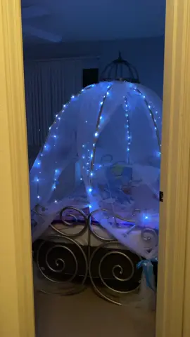 Can you be too extra when it comes to a Cinderella carriage princess bed? I don’t think so! This was after we spent all day putting it together. I think it took a couple hours to wrap the lights and hang the tulle. She still loves it. #princessbed #princessbedroom #cinderella #cinderellacarriage #carriagebed #anythingforourprincess 
