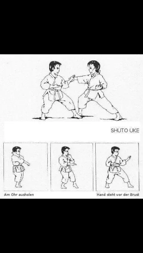 #fvpシ♡ #كاراتيه🥋، #karate #shotokan #kumite #الفنون_القتاليه #كاراتيه❤عشقي❤ #شوتوكان🥋🥋🍁 