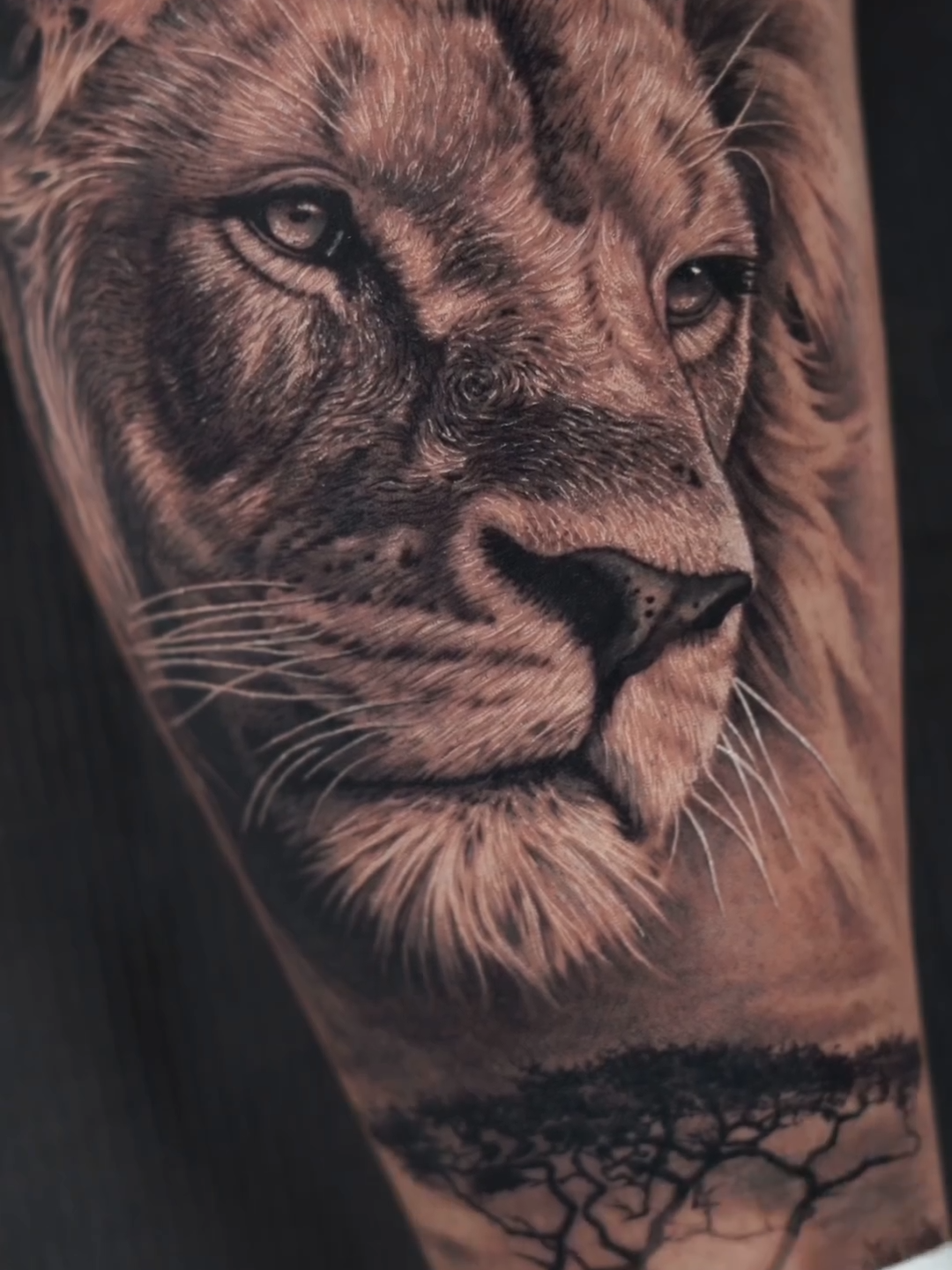 The king of lions! Done by our Pro Team Artist @jac_alonso Using Emalla Cartridge Needles Please click in: https://yuelongofficial.com/collections/emalla-cartridges #tattoo #yuelong #yuelongofficial #yuelongtattoosupply #emalla #emallaofficial