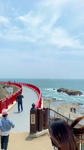 Nếu bạn không ra ngoài đi dạo, bạn sẽ nghĩ đây là cả thế giới🌊 #kanagawa #enoshima #bien #海 #nhatban 