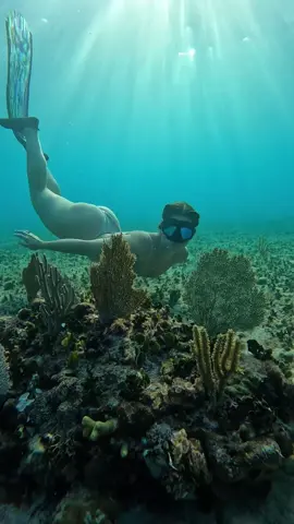 Mornings of pure imagination 💧 #underwatertiktok #traveltiktok #freedive 