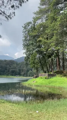 Main ke tempatnya rachel sama farel 🍃#myheart #ciwidey #situpatenggang 