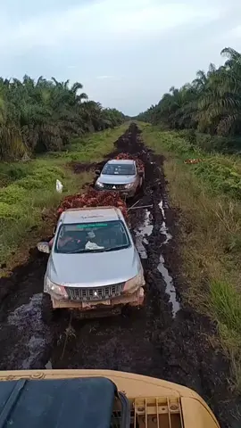 Jalan Terakhir Dari Sebuah Cerita,Bagai Angsa Menggiring anak🥲🔥 #fyp  #triton4x4club  #pejuangsawit  #pejuanggambut  #viral  #kulisawitriau  #stori