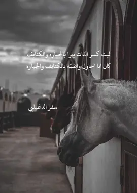 ليت كسر الذات يبرا #قصيدة #حكم #حكمة #أبيات_من_الشعر #السعودية #explore #2024 #شيلة #سفر_الدغيلبي 