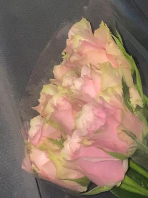 Rseczy wazne i wazniejsze #kwiaty #clio #bmw 