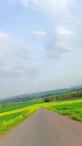ماتبخلوناش بالإكسبلور خاوتي 🌺 #الشلف #تهلاو_ولاد_بلادي🇩🇿💛👌 #اكسبلور #مشاهدات #تصويري #طبيعة #سياحة #foryourpage #tiktoklongs #tiktokarab #viral #vues #fyp #foryou #dzpower #tiktok @♥𝐇𝐚𝐤𝐢𝐦 𝟎𝟐♥ 