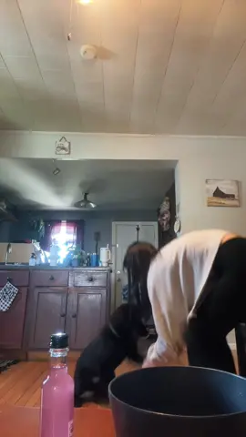 rock paper scissor challenge featuring hartley, btw its just lemonade 😇 #fyp #foryou 