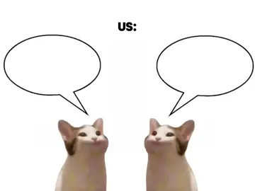 us??? #soad #systemofadown #fyp #rock #metal #radiovideo 