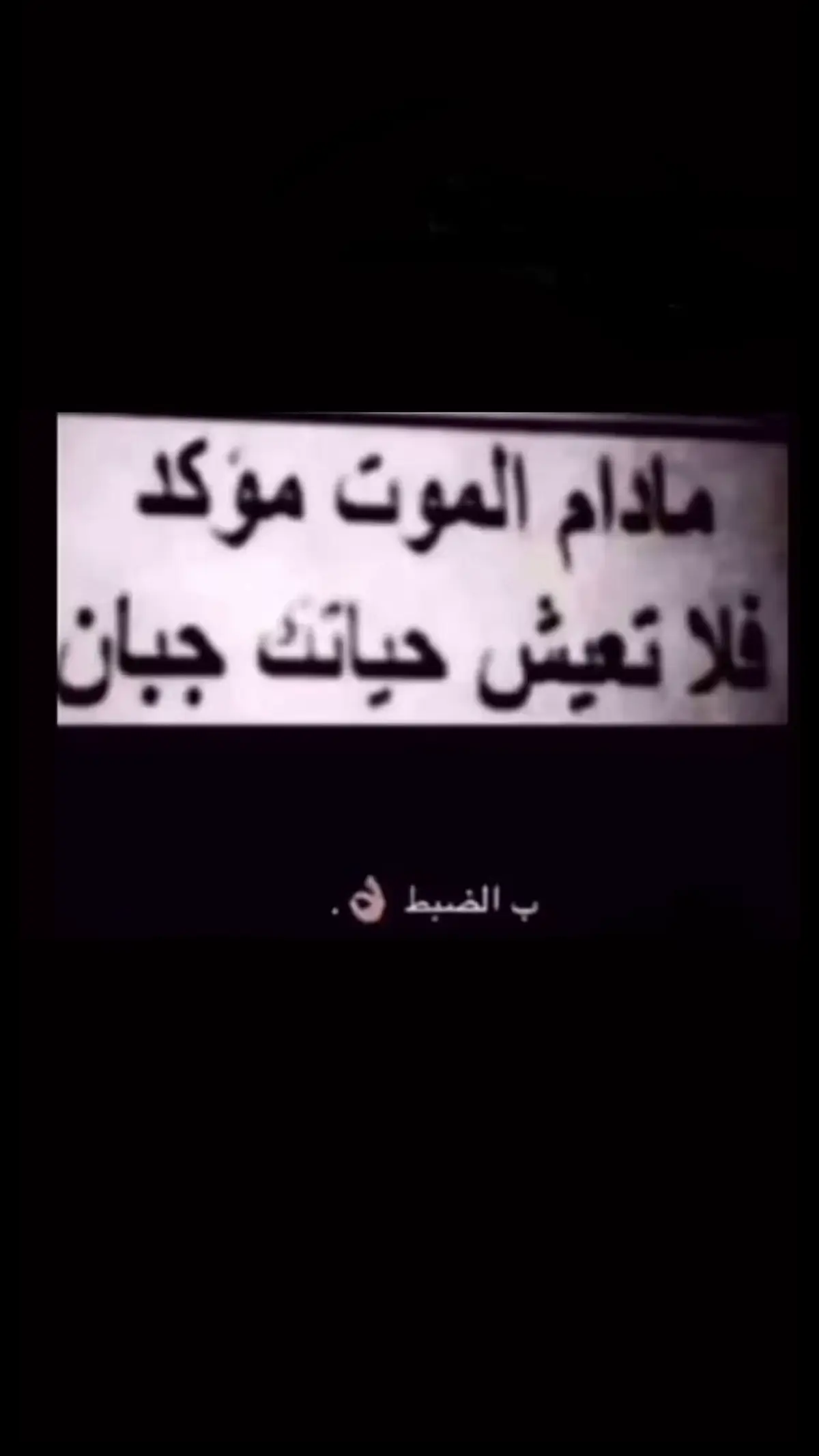 #حبيب_بن_ربيع 